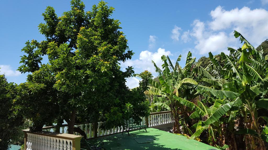 Hibiscus House Seychelles Self Catering Apartment Victoria Exterior photo